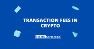 Transaction Fees in Crypto | The Big Capitalist