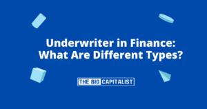 Underwriter in Finance- What Do They Do, What Are Different Types?| The Big Capitalist