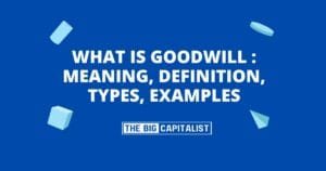 What is Goodwill - Meaning, Definition, Types, Examples| The Big Capitalist