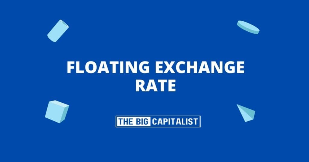 floating exchange rate| The Big Capitalist
