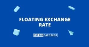 floating exchange rate| The Big Capitalist